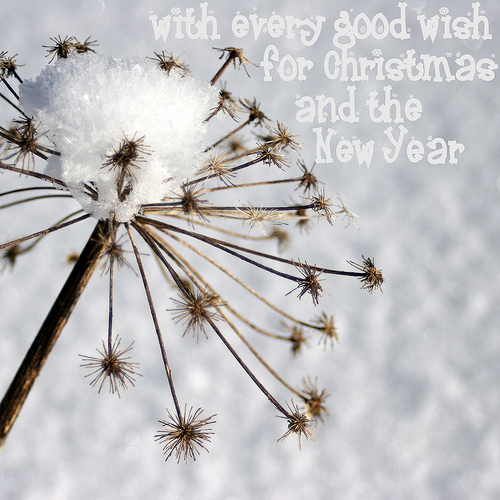 photo credit: jenny downing with every good wish via photopin (license)